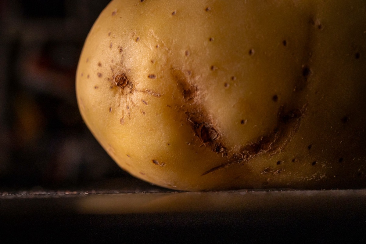 Een geschilde aardappel die wordt gebruikt om overtollig zout te absorberen.
