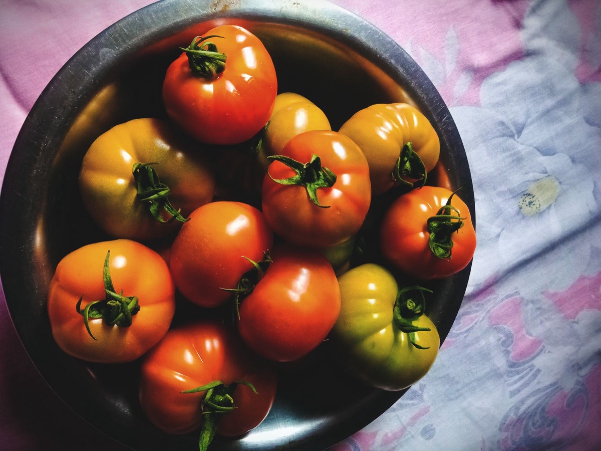 Pomodori maturi per la cucina